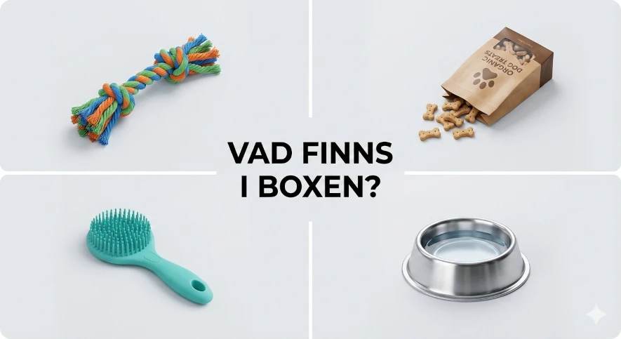 Infografik som visar fyra ikoner som representerar hundleksaker, godis, vårdprodukter och tillbehör i en prenumerationsbox.