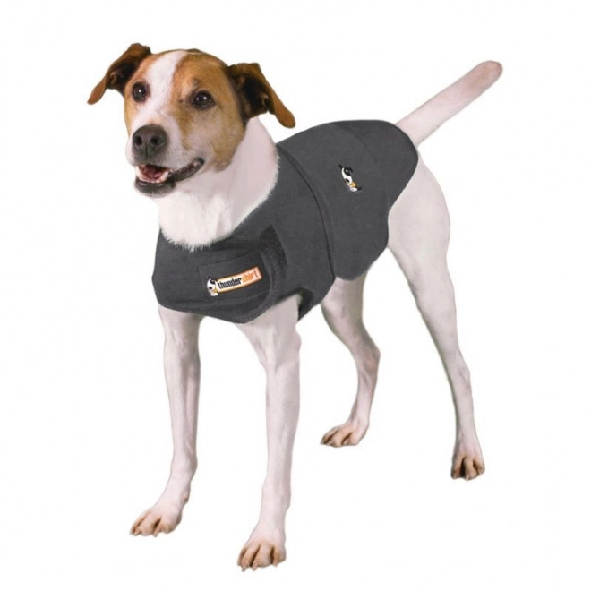 Thundershirt, hund